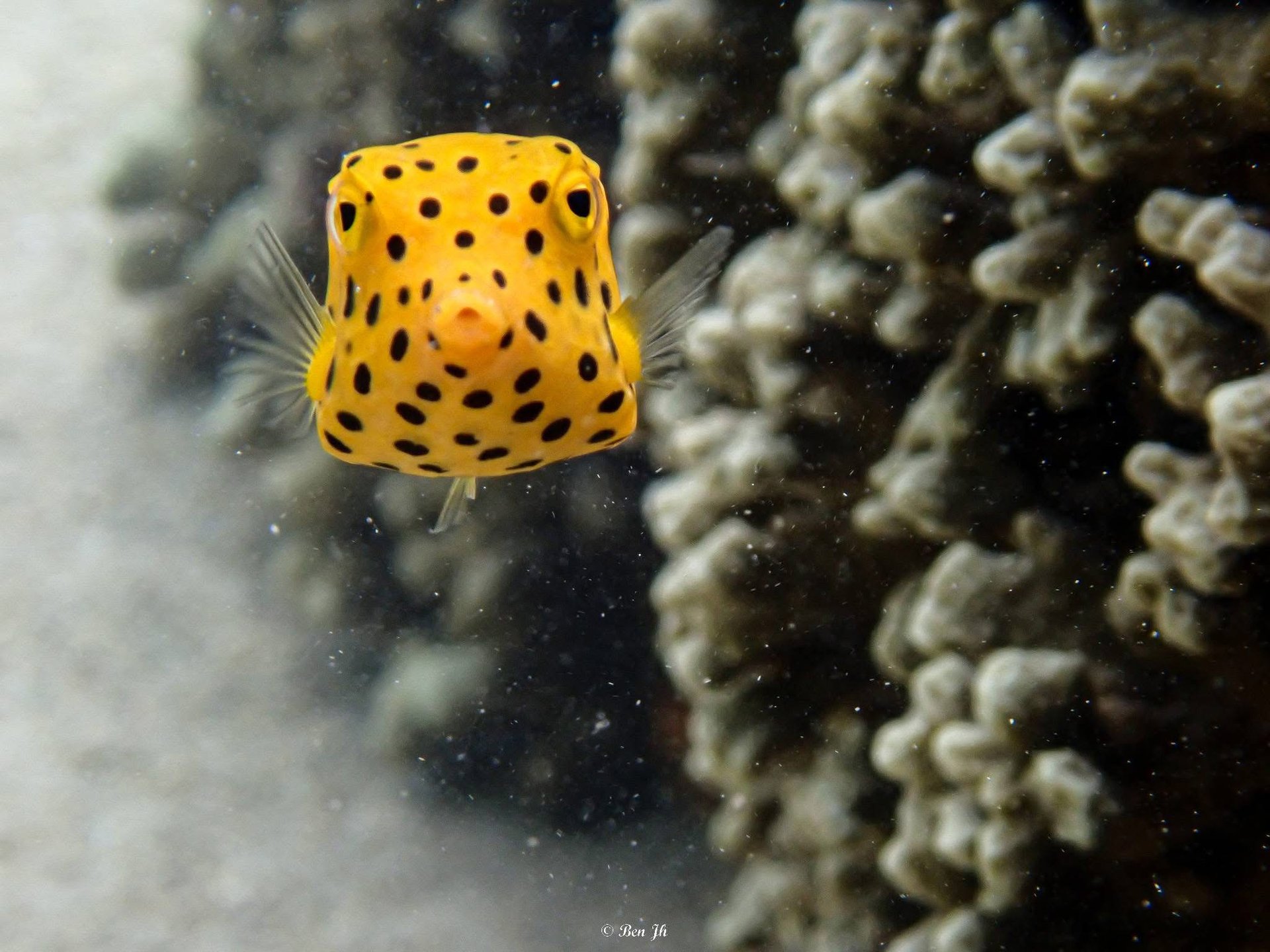 布纳肯国家海洋公园